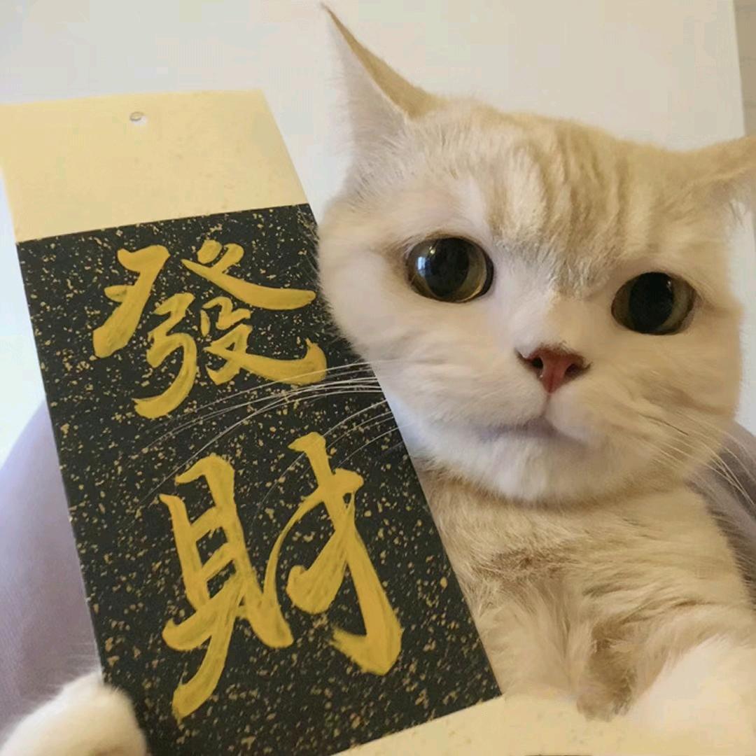 半眠日记好物
