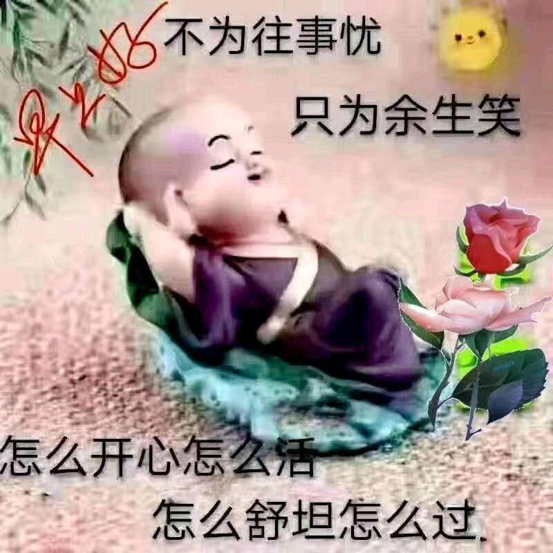 逍遥的仙😘