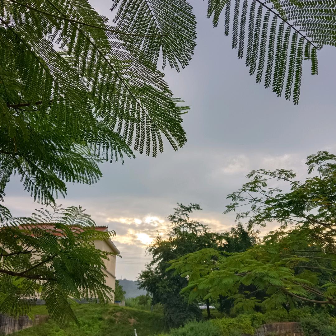暖意