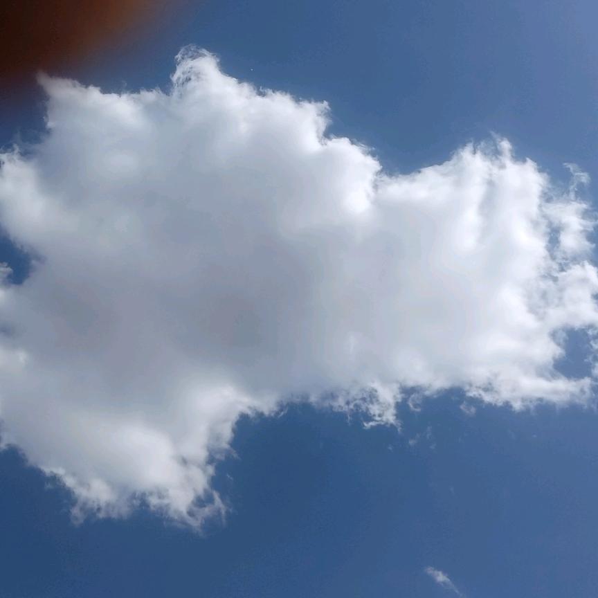 活出自己的人生