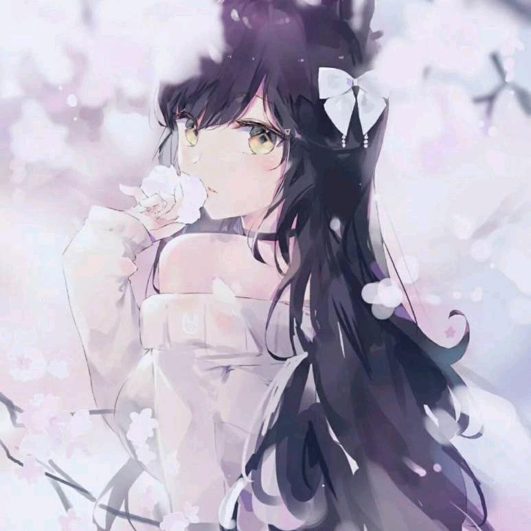那就带你们飘吧