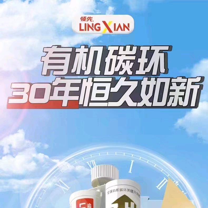 重生之在邵阳做美缝