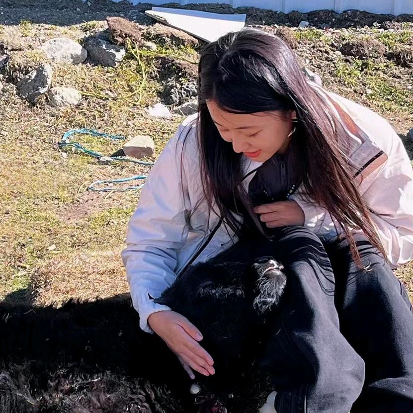 喜欢跳舞的鹅鹅