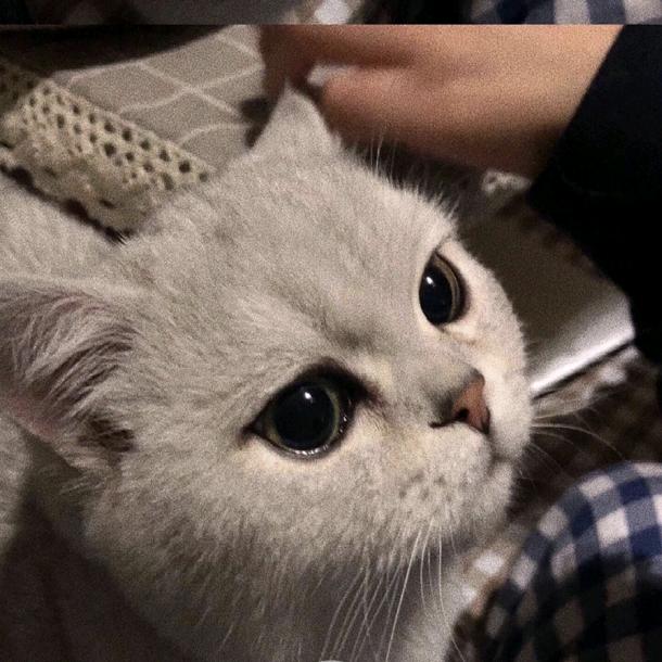 夜雨落