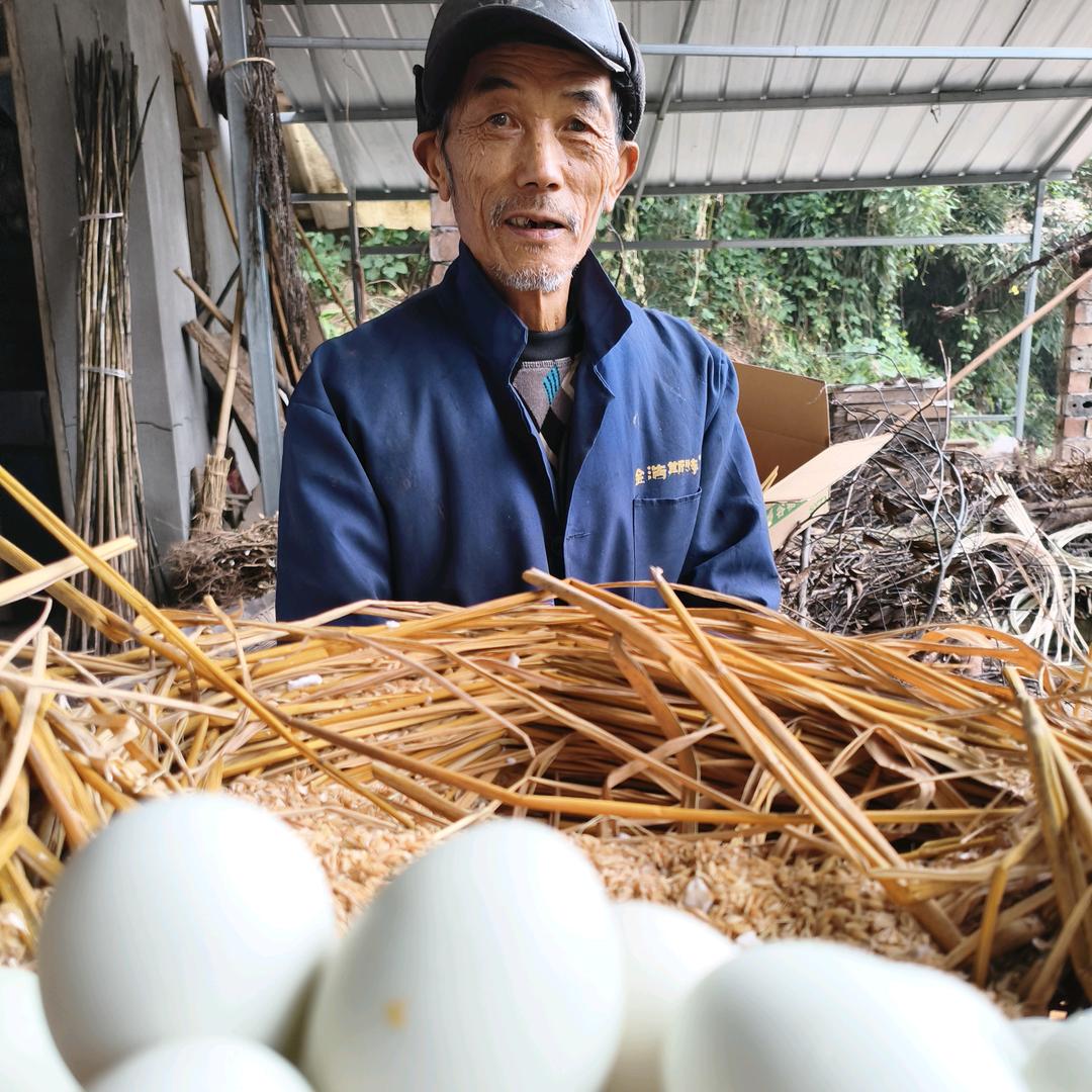 山野鸡蛋老叟