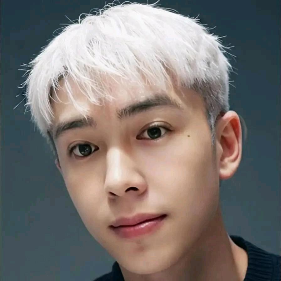 一只傻阿豹🌊