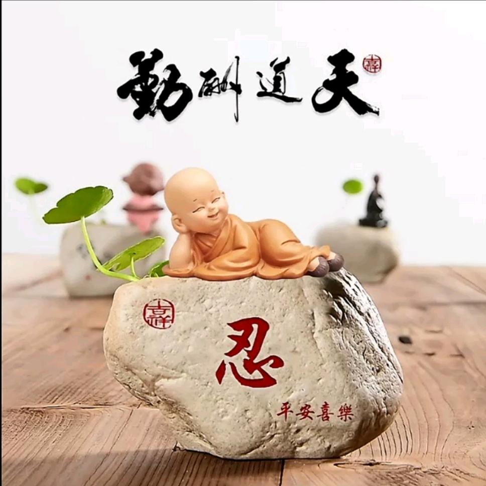 石家庄潮袜批发