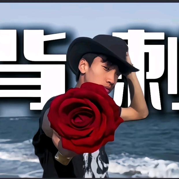 枫叶.AvA