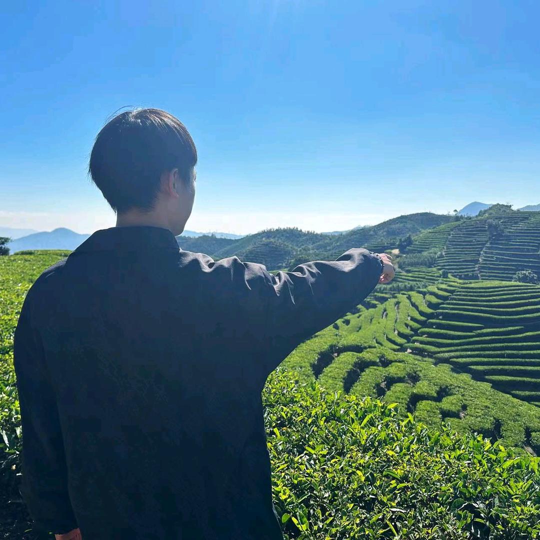 小陈家的单丛茶