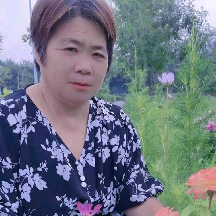 河南孙姐