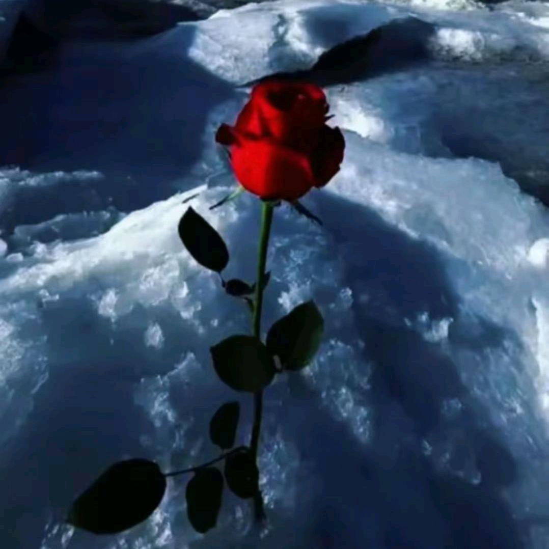 姐╮似懂非懂づ