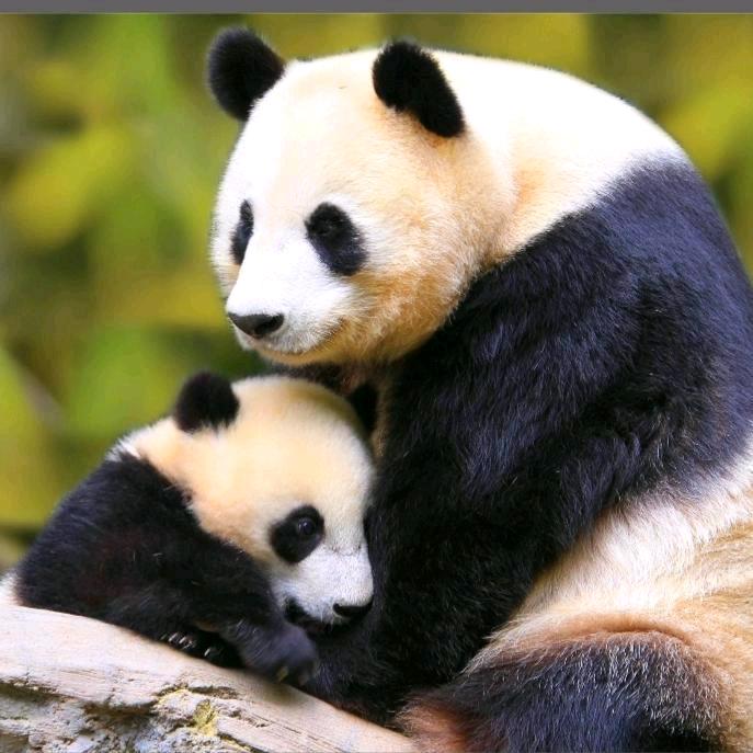 ㅤㅤ︃ㅤ︃︅︄︃ ㅤㅤ︃ㅤ︃︅ㅤㅤㅤ︃ㅤ