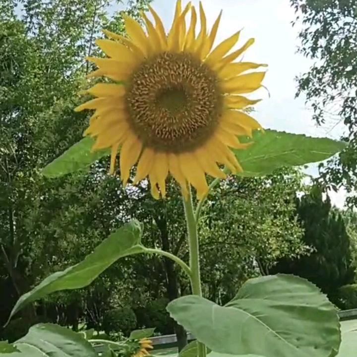 不品人间苦