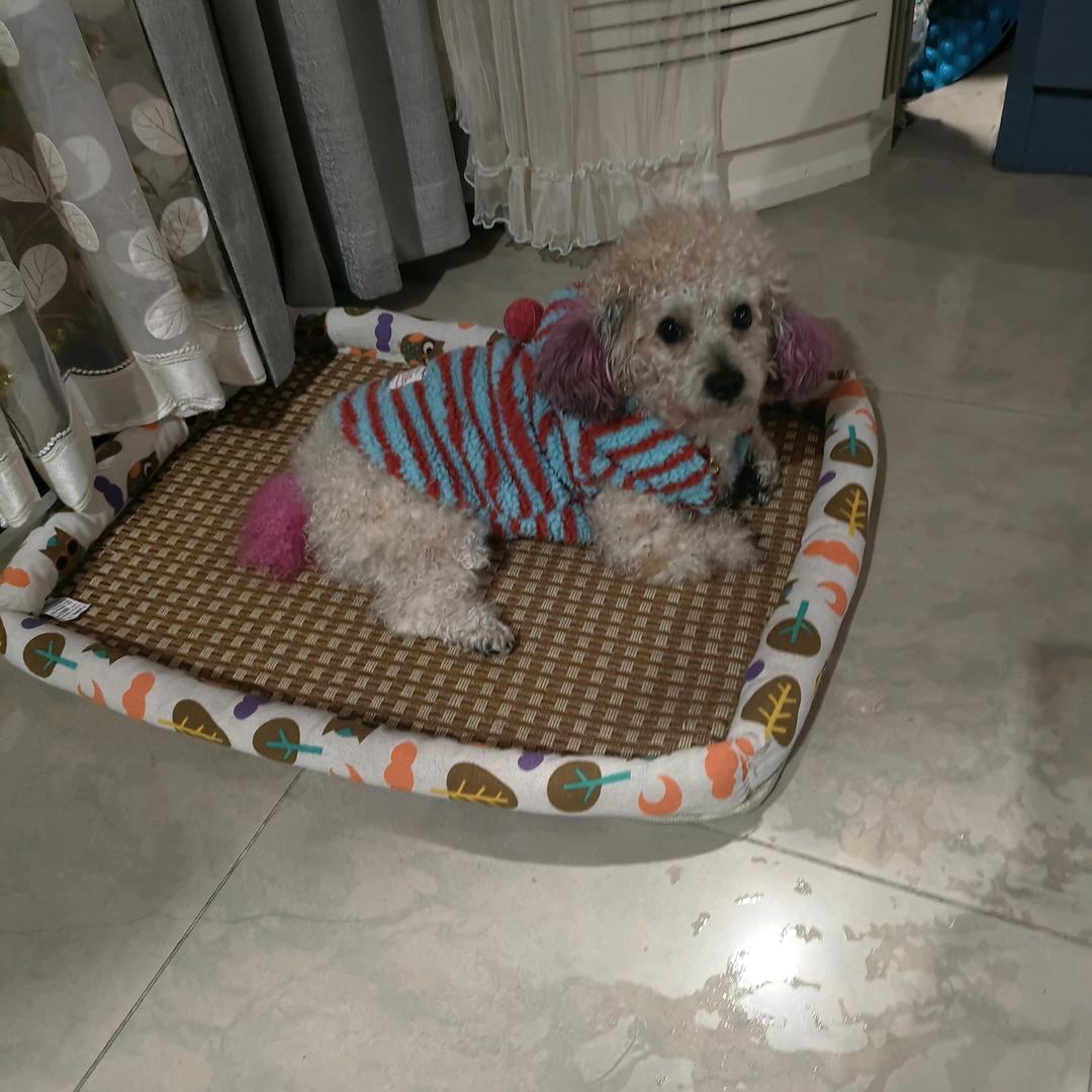 过往云烟。