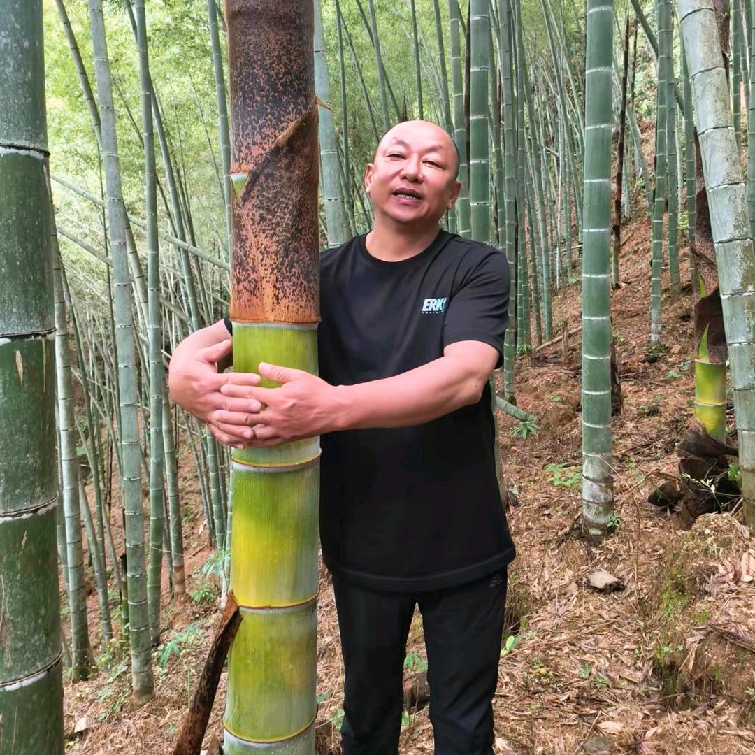 笋痴