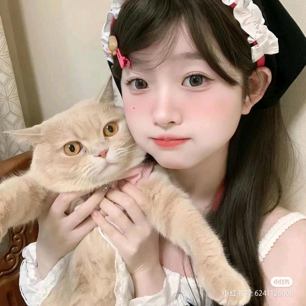 一只眠羊