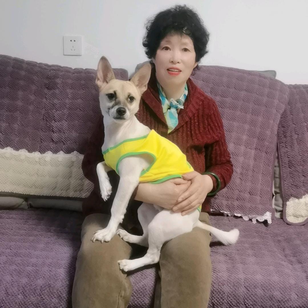 珍珍（好物分享）进入厨窗