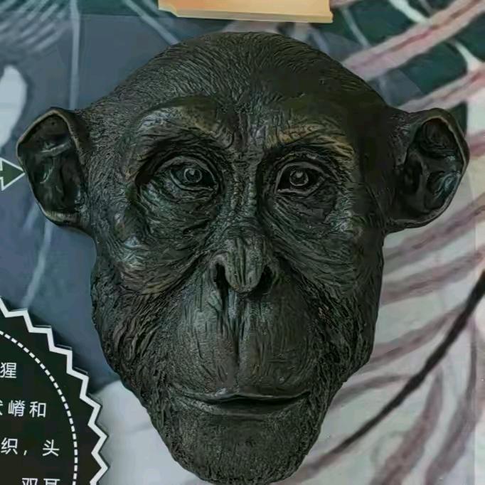缘来相聚