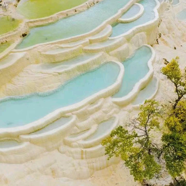 清凉的啄木鸟
