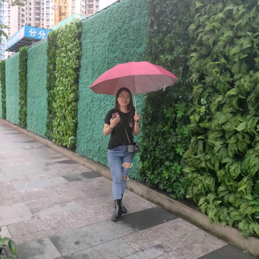 纯属的娛樂