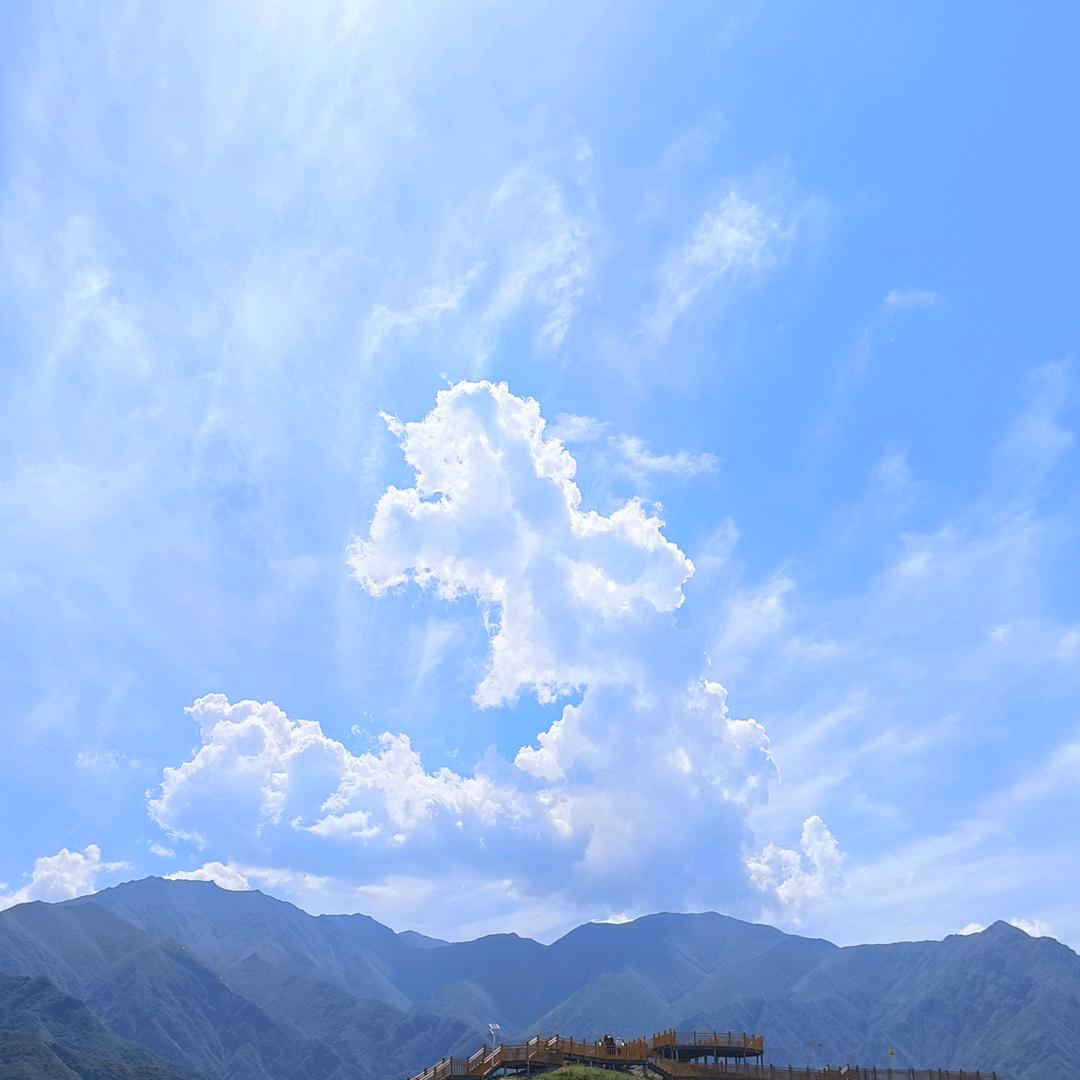 一心只为你一人