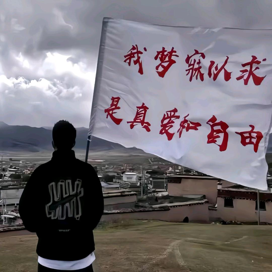 重生之我是20后在M星打怪兽