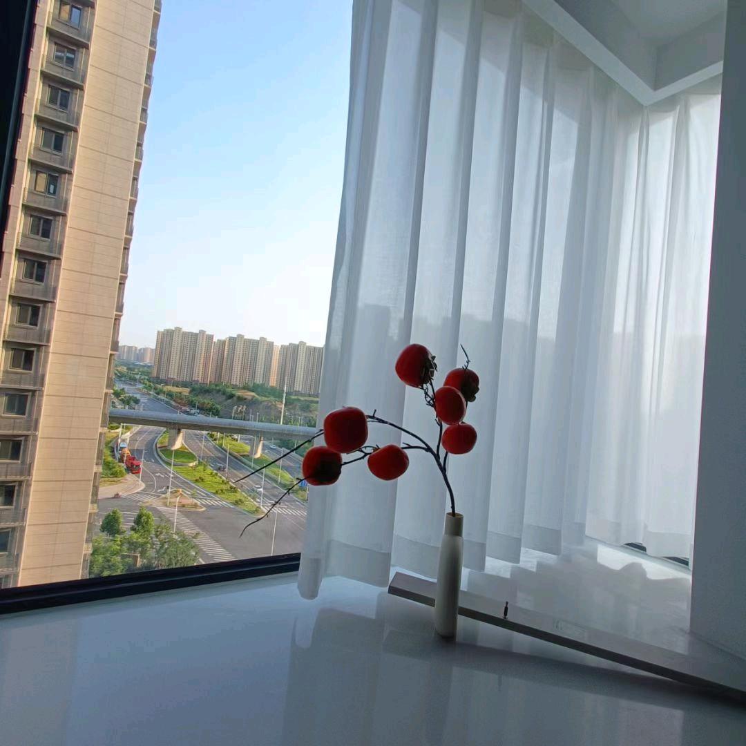 郑州做窗帘的彩霞