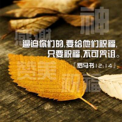 （👩‍❤️‍💋‍👨）平安~喜乐