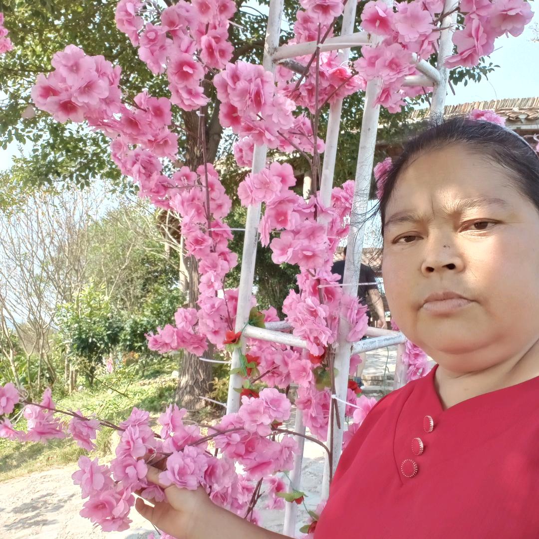 农村向姐