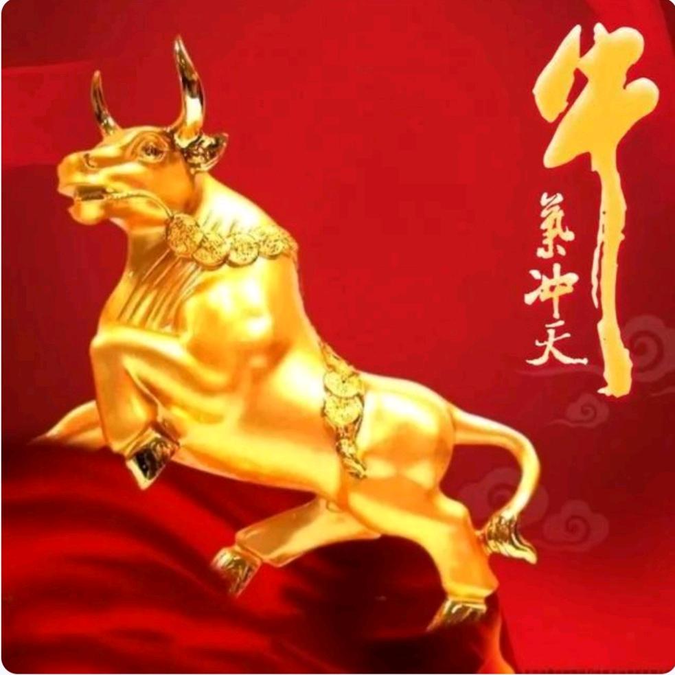 牛运永伴