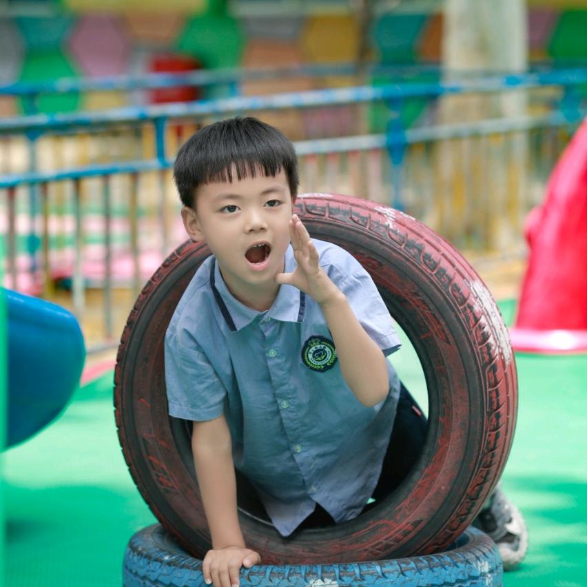 凤