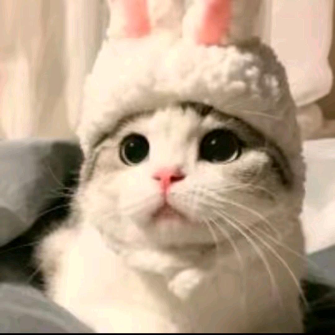 @ꕥ᭄谁都不李ꦿᩚ࿐