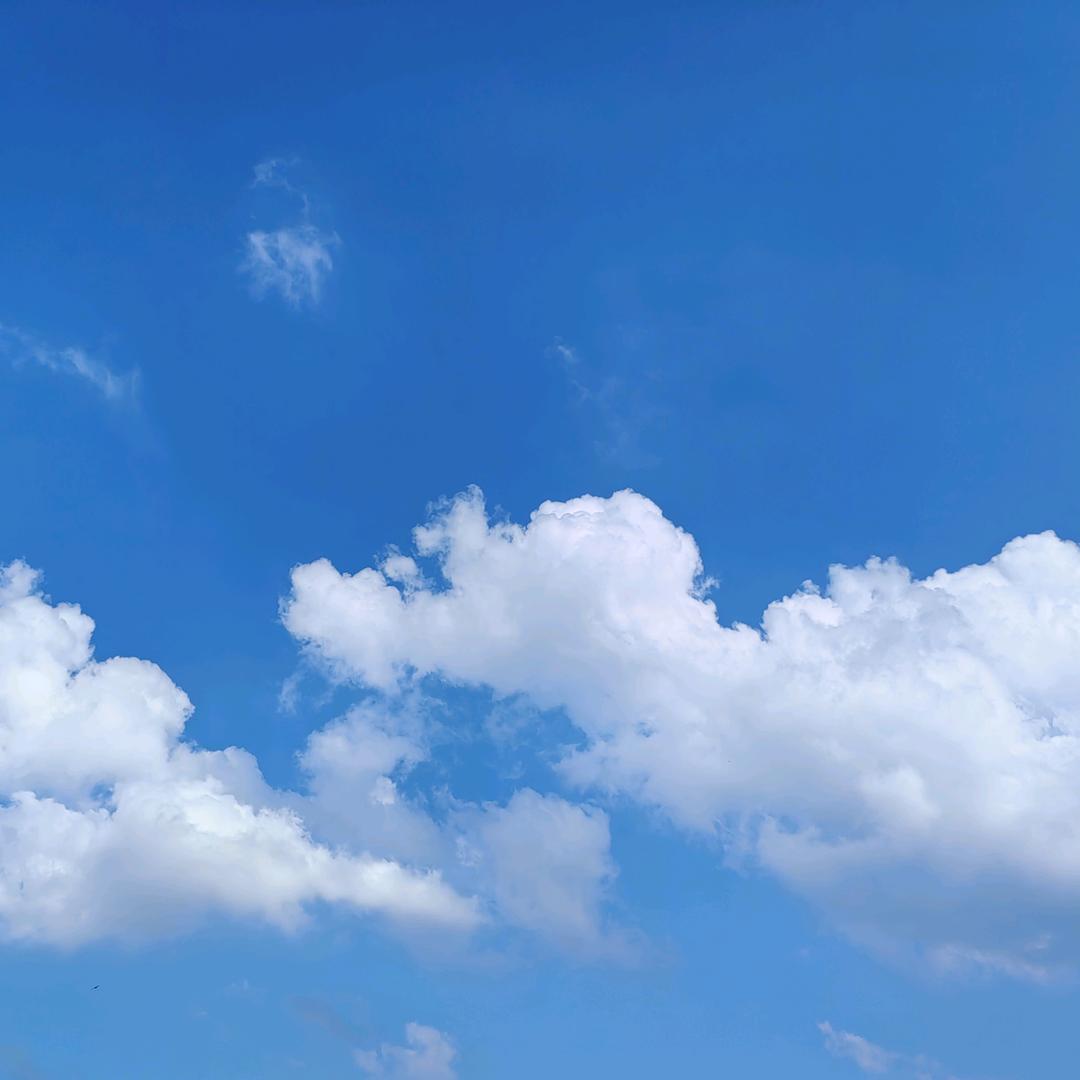 韩韩