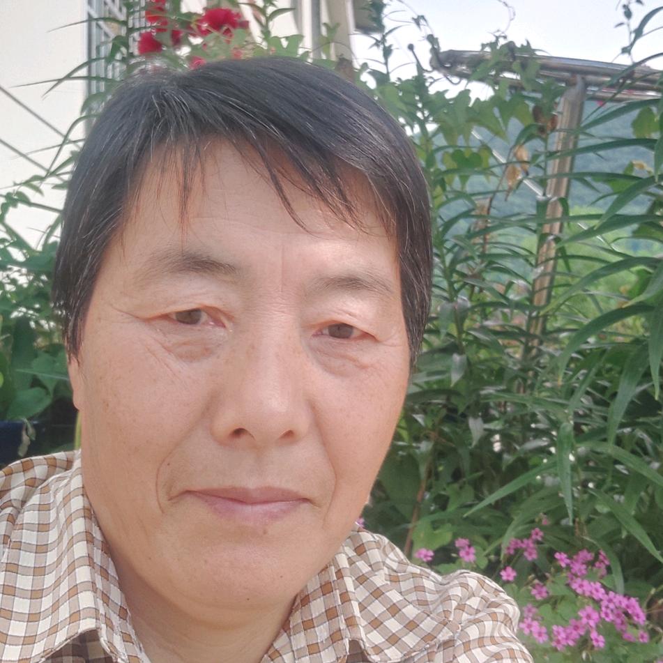 凤姐