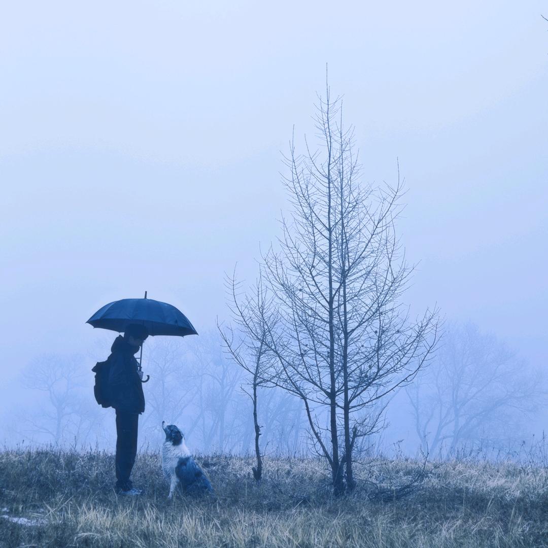 赵吃吃