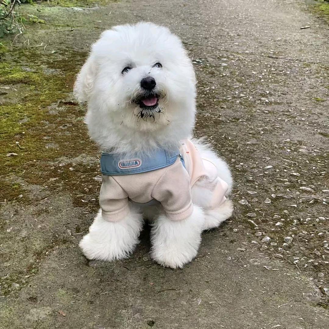 Coco