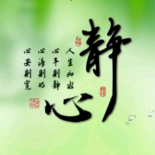 恒逸轩🍃