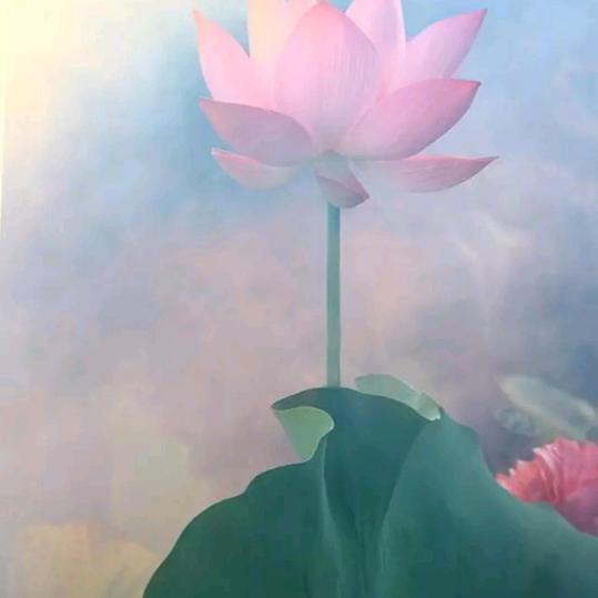 清苒温暖1
