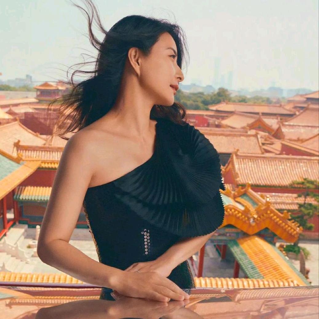 晶晶护婵
