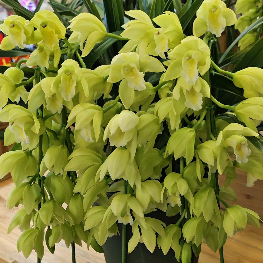 沁园全屋净水小张