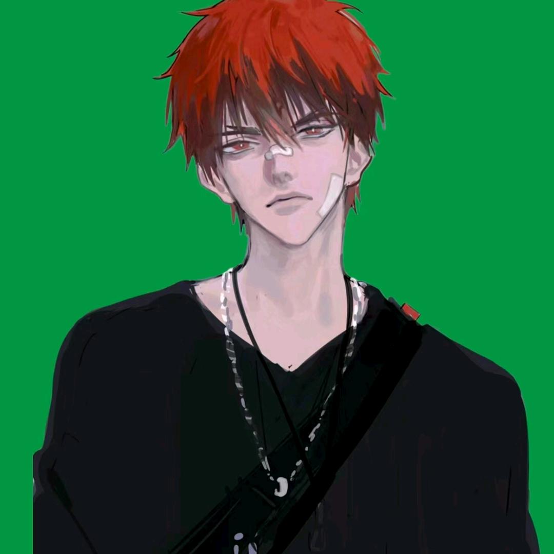 大鹅.T