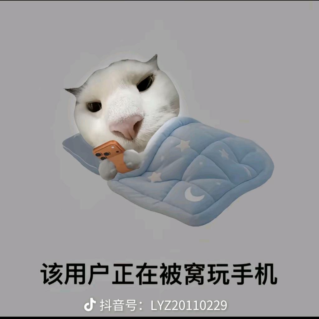 么凹猫