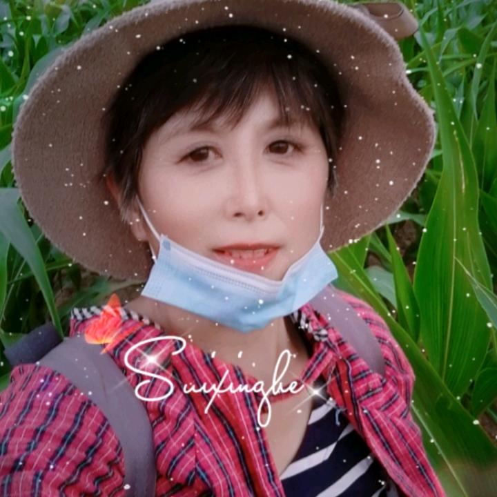 华夏