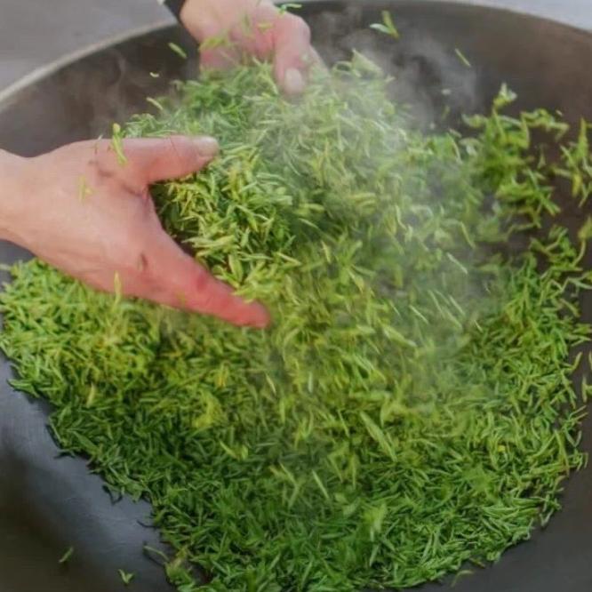 茶叶輝哥高山纯手工茶店