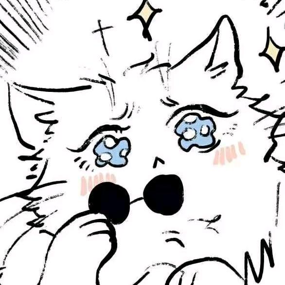 ✨猫✨