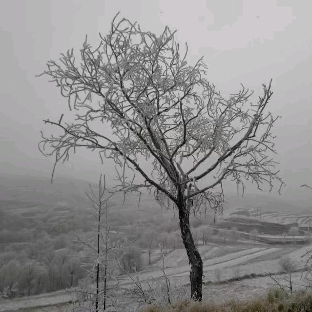 且行且珍惜(●°u°●) 」