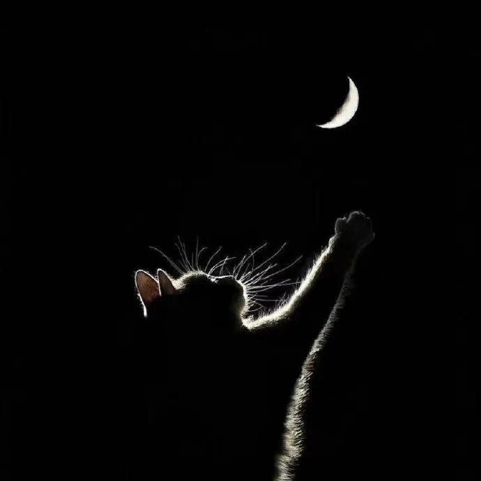 🍀繁星遇海🍂