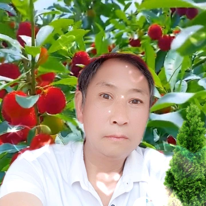 魏先生