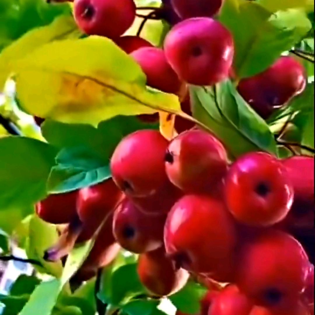 用户3780733497142