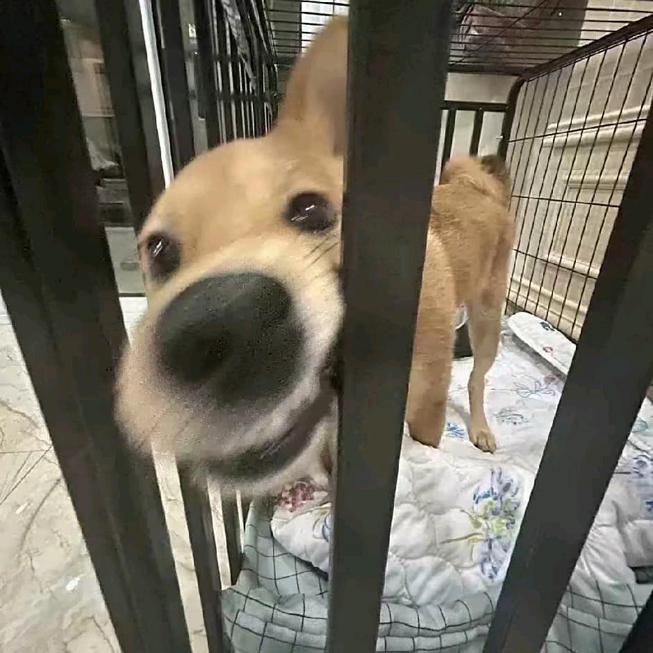 肘击赖同学눈_눈